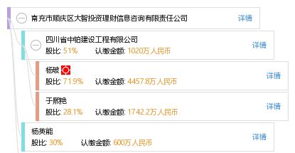 南充市顺庆区大智投资理财信息咨询有限责任公司